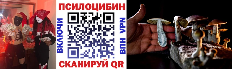 Псилоцибиновые грибы GOLDEN TEACHER Межгорье