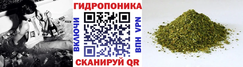 Бошки марихуана индика Межгорье